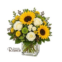 Luminous Morning from Flowers by Ramon of Lawton, OK